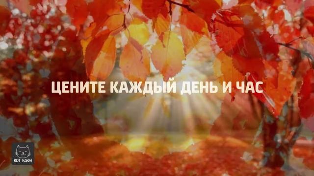 Цените каждый день и час