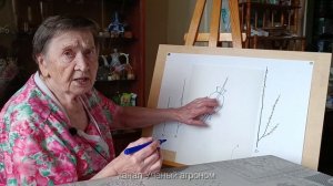 Яблоня.  Разведение яблони воздушными черенками.