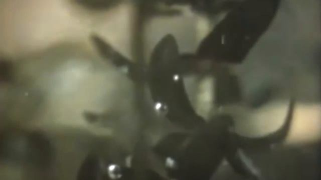 Подготовка природы к зиме. Презентация для детей. Окружающий мир. смотреть онлайн