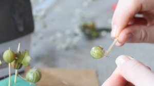 Крыжовник из полимерной глины и термо-клея. Листики из фоамирана.