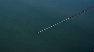 На что ловить Форель. Какой спиннинг лучше? Солид или тубуляр?