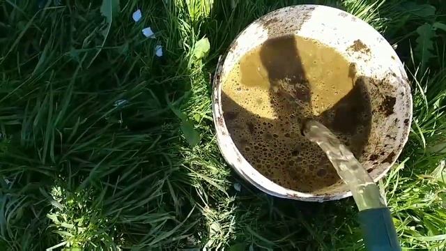 Подкормка КОРОВЯКОМ?