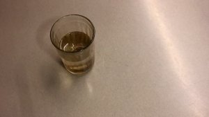 Как я подготавливаю семена моркови к посадке. Секрет большого урожая!