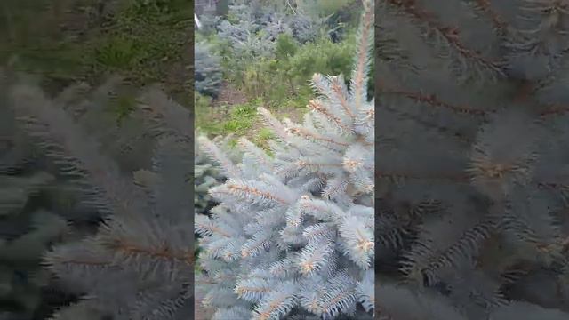 26 сентября 2021 г. смотреть онлайн