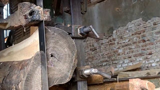 Sawing And Cutting Dry Wood Horrifying Monsters || #Sawmill