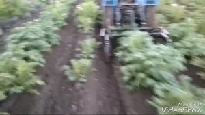 Окучивание минитрактором 4х4 окучниками