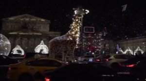 Новогодние заставки (Первого Канала) Жираф ходить по дороге где машины ездят￼ #13 2021-2022