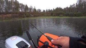 Дикие окуни поедают резину  Ловля окуня Рыбалка на спиннинг в Красноярске