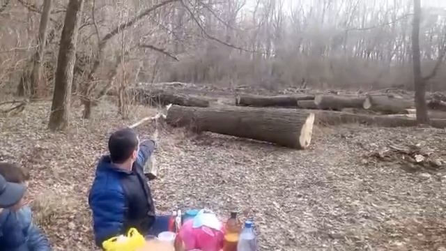 Слуги народа (чиновники) уничтожают Курганинский район. Не законная вырубка леса. смотреть онлайн