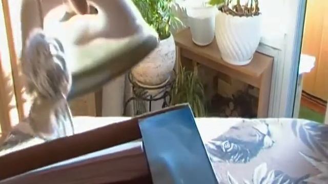 Распаковка комплекта поставки утюга Electrolux EDB 7540.MP4 смотреть онлайн