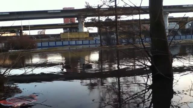 Кировский завод смотреть онлайн