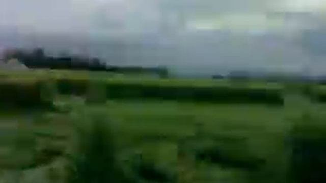 Знаки на полях с. Знаменский 24.05.2011