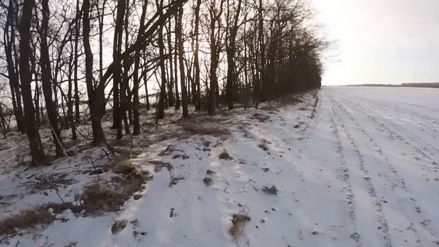 Охота на зайца (Подъем двух с лежек) Hunting for hares смотреть онлайн