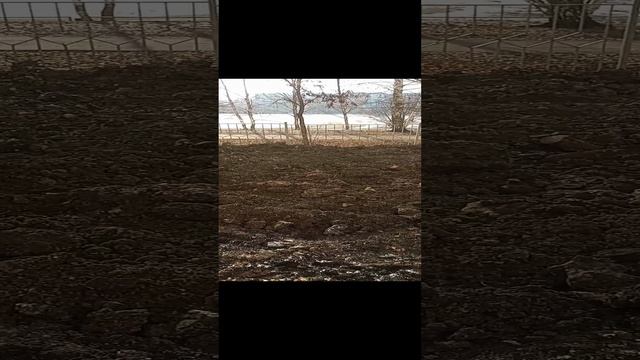 Наконец-то закопали эту яму!