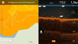 Как найти место для ловли карпа