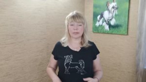 Обувь для собак / Сапожки для собак /Китайские Хохлатые