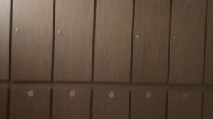 Обзор отеля Рэдиссон Завидово (Тверская область). От А до Я.