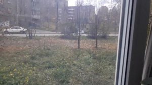 Анжелика снежинская  прибыла   на машине в гости  к родственнику  в новосибирск