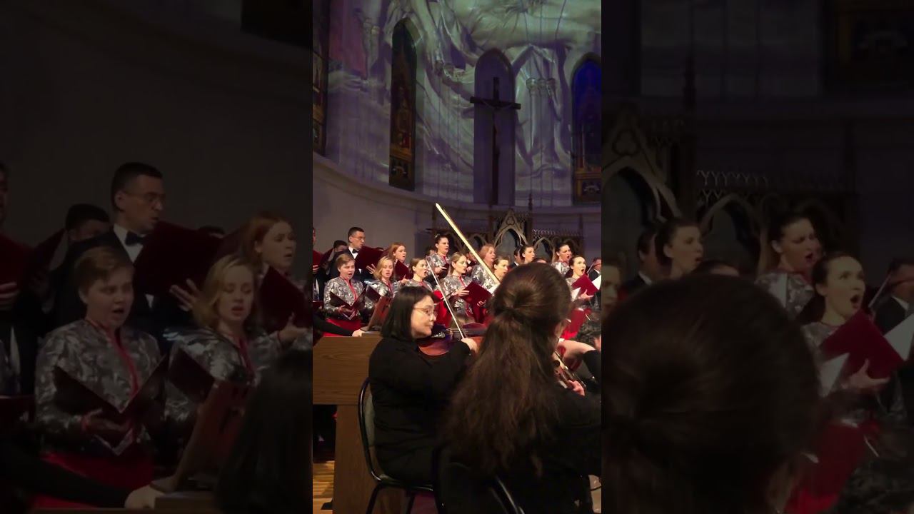 Моцарт. Реквием — величайший шедевр! #shorts #моцарт #mozart #requiem #classicalmusic #музыка смотреть онлайн