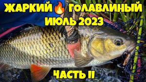 "Битва с трофейными голавлями ⚔️ : Smith Towadi в деле"