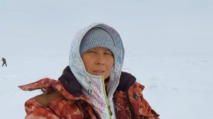 Крабалка. Вова провалился..  Как сЪесть краба..