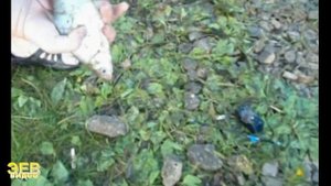 Ночная рыбалка на реке Большой Иргиз