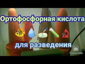 Правильная кислота для разведения Дискусов