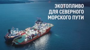 Экотопливо для Северного морского пути