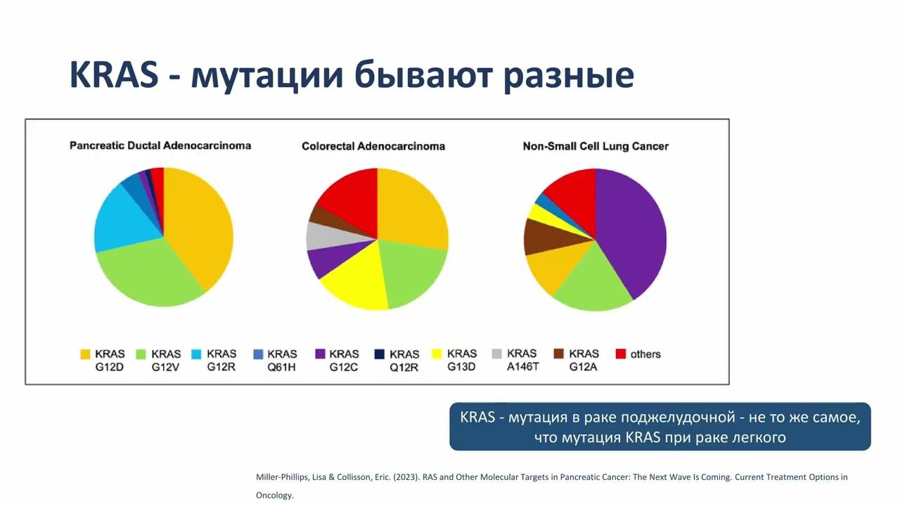 Современные подходы к терапии рака поджелудочной железы