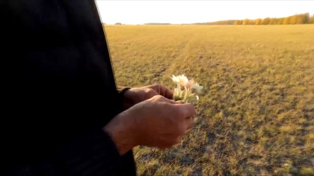 Ячмень как молоко, каждый день прицеп сена домой. смотреть онлайн