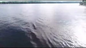 Пироговское водохранилище Бухта радости