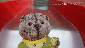 Басик и я гуляем на площадке!!!