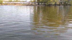 BoatMaster 300 + Suzuki DF 2.5