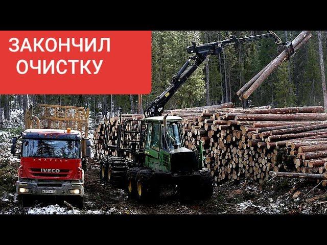 Как очистить участок от деревьев своими руками? Дачные будни.