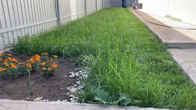 Самая дешевая газонокосилка из Леруа Мерлен. Тот случай когда не нужно переплачивать. смотреть онлайн