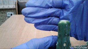 Как подготовить кактус к укоренению.