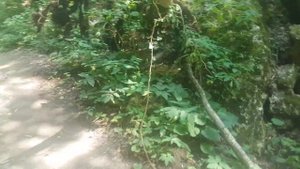 Пляж Лагуна Хаджохской теснины у поселка Каменномостский в Адыгее