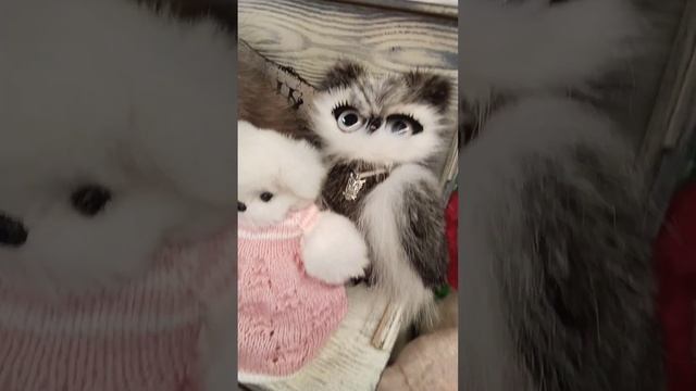 Выставка Авторской куклы, медведей и игрушек. смотреть онлайн