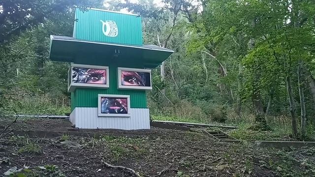 Железноводск 2021