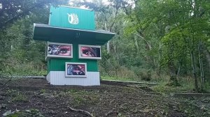 Железноводск 2021