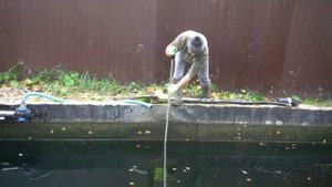 Сливаем воду из пруда,вылавливаем осетров и карпов.(Генеральная чистка пруда).