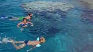 Crowne Plaza Resort Sharm El Sheikh 5* видео №4