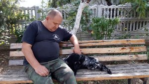 русский спаниель.щенок 4 месяца