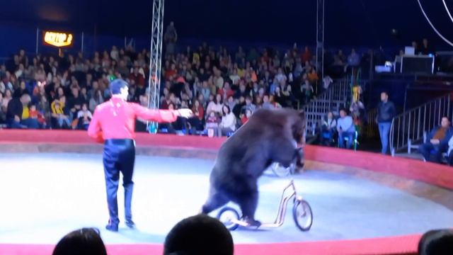 Sophia at Kaliningrad Zoo смотреть онлайн