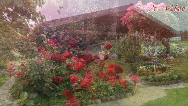 Отличные примеры красивого озеленения загородного участка / Original ideas for landscaping a garden смотреть онлайн