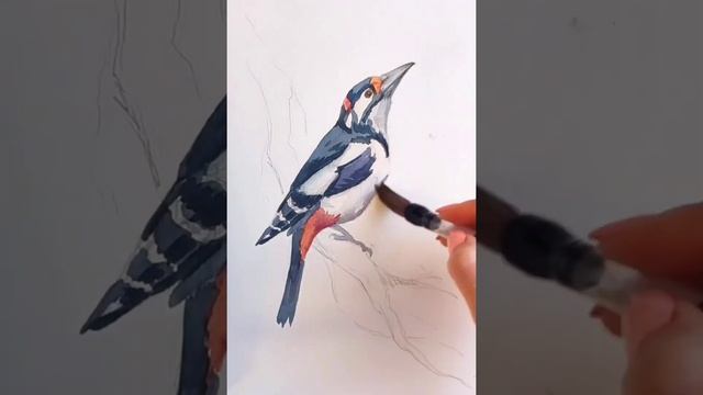 Птица акварелью смотреть онлайн