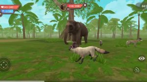 играем в Валд крафт изучаем новые карты и животных