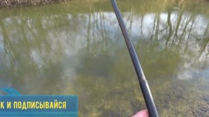 Идеальная Приманка для Щуки весной, как Ловить Щуку, Fishing