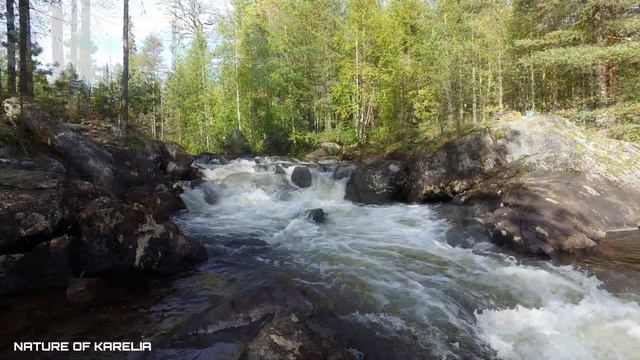 Northern Karelia. River rapids / Северная Карелия. Речной порог