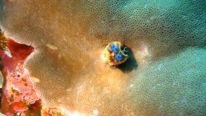 Шарм или Хургада? Куда поехать весной в Египет? Где лучше ?